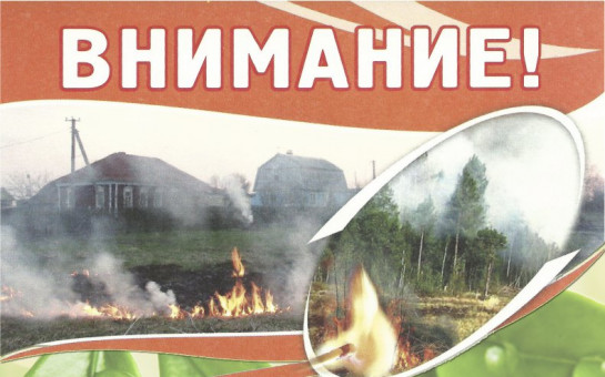 Весенние пожары: как безопасно убирать территорию и не получить штраф.